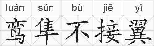 鸾隼不接翼的拼音