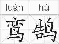 鸾鹄的拼音