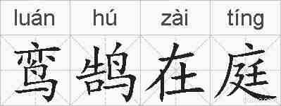鸾鹄在庭的拼音