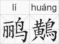 鹂鷬的拼音