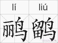 鹂鹠的拼音