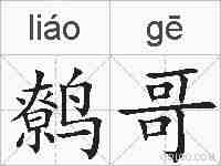 鹩哥的拼音