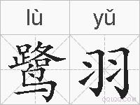 鹭羽的拼音