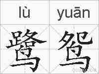 鹭鸳的拼音