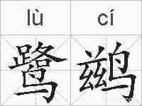 鹭鹚的拼音