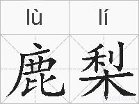 鹿梨的拼音