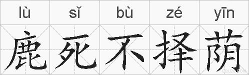鹿死不择荫的拼音