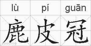 鹿皮冠的拼音