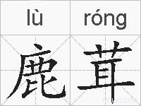 鹿茸的拼音