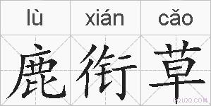 鹿衔草的拼音
