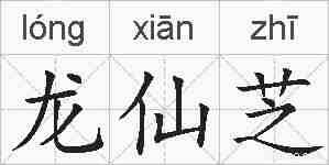 龙仙芝的拼音