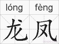 龙凤的拼音