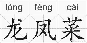 龙凤菜的拼音