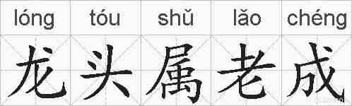 龙头属老成的拼音