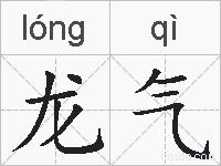 龙气的拼音