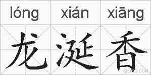 龙涎香的拼音
