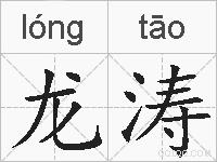 龙涛的拼音
