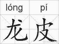 龙皮的拼音