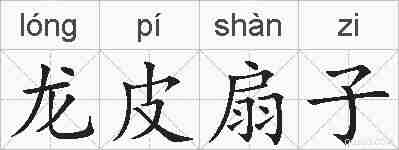 龙皮扇子的拼音
