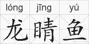 龙睛鱼的拼音