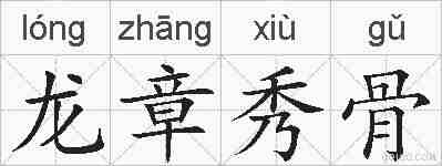 龙章秀骨的拼音