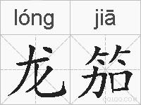 龙笳的拼音