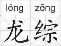龙综的拼音