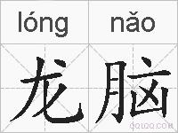龙脑的拼音