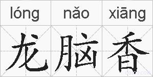 龙脑香的拼音