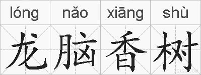 龙脑香树的拼音