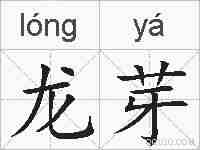 龙芽的拼音