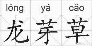 龙芽草的拼音
