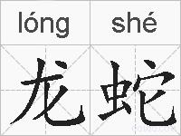 龙蛇的拼音