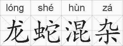 龙蛇混杂的拼音