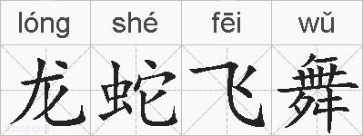 龙蛇飞舞的拼音