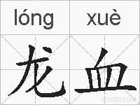 龙血的拼音