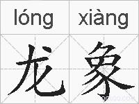龙象的拼音