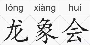 龙象会的拼音