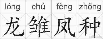 龙雏凤种的拼音