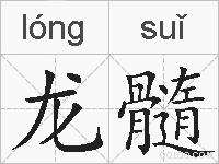 龙髓的拼音