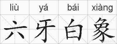 六牙白象的拼音