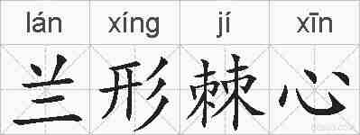 兰形棘心的拼音