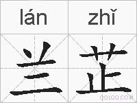 兰芷的拼音