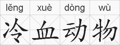 冷血动物的拼音