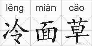 冷面草的拼音