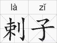 剌子的拼音