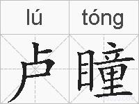 卢瞳的拼音
