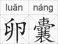 卵囊的拼音