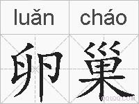 卵巢的拼音