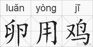 卵用鸡的拼音